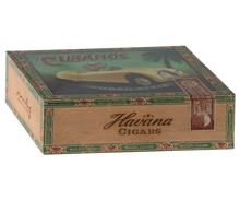 Load image into Gallery viewer, Maileg Grandma & Grandpa Mice - Cigar Box