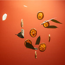 Load image into Gallery viewer, NEW Organic Spice Hydrating Sanitizer Mini Refill Pouch