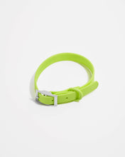 Load image into Gallery viewer, Wild One - Adjustable Waterproof Fashion Dog Collar: Moss / X-LARGE