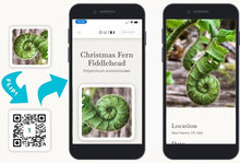Load image into Gallery viewer, OuiSi Nature: Game of Visual Connection