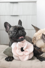 Load image into Gallery viewer, Lambwolf Collective - Poppy // Enrichment Dog Toy - Small