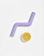 Load image into Gallery viewer, Wild One - Bolt Bite Dog Chew Toy: Lilac / STANDARD