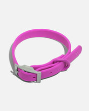 Load image into Gallery viewer, Wild One - Adjustable Waterproof Fashion Dog Collar: Cocoa / SMALL