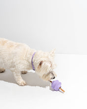 Load image into Gallery viewer, Wild One Twist Toss Treat Dispensing Dog Toy - Standard | Strawberry