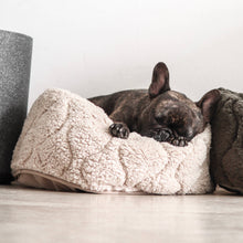 Load image into Gallery viewer, Lambwolf Collective - TAART // Dog Bed - Camel