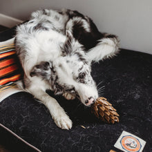 Load image into Gallery viewer, Loblola - Loblolly Pinecone Puzzle Toy