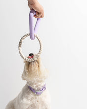 Load image into Gallery viewer, Wild One - Triangle Tug Dog Chew Toy: Lilac / STANDARD