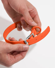 Load image into Gallery viewer, Wild One - Adjustable Waterproof Fashion Dog Collar: Cocoa / SMALL