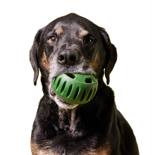 Load image into Gallery viewer, Woof - The Pupsicle - Moss Green: Large