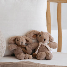 Load image into Gallery viewer, And the Little Dog Laughed Hugh Rabbit - Mini