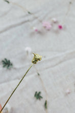 Load image into Gallery viewer, CÂPÂ Cow Skewer