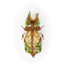 Load image into Gallery viewer, Trovelore Giant Leaf Insect Brooch