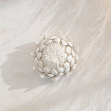 Load image into Gallery viewer, Purely Porcelain Diffuser Flowers | Essential King Protea | Large