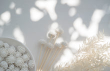 Load image into Gallery viewer, Purely Porcelain Individual Diffuser Flower | Protea