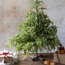 Load image into Gallery viewer, Abigail Ahern - Large Faux Christmas Tree