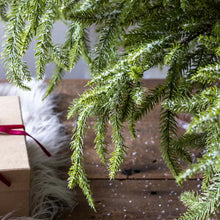 Load image into Gallery viewer, Abigail Ahern - Large Faux Christmas Tree