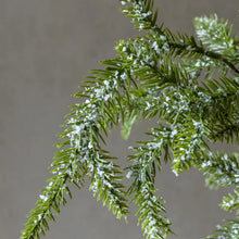 Load image into Gallery viewer, Abigail Ahern - Medium Faux Christmas Tree