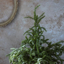 Load image into Gallery viewer, Abigail Ahern - Medium Faux Christmas Tree