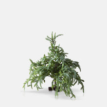 Load image into Gallery viewer, Abigail Ahern - Medium Faux Christmas Tree