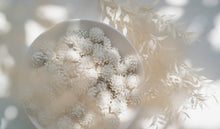 Load image into Gallery viewer, Purely Porcelain Diffuser Flowers | Glazed King Protea | Small