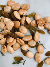 Load image into Gallery viewer, Salted Co. Fancy Cocktail Nuts - Marcona Almonds, Candied Rosemary, and Green Raisin