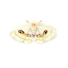 Load image into Gallery viewer, Trovelore White Spring Moth Brooch