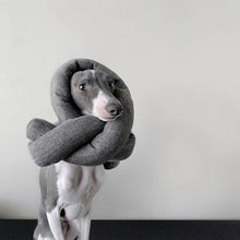 Load image into Gallery viewer, Lambwolf Collective - NOU | with Crinkle Clusters // Enrichment Dog Toy -  Charcoal