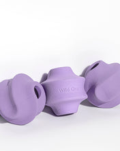 Load image into Gallery viewer, Wild One Twist Toss - Small | Strawberry