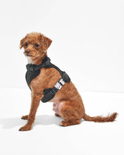 Load image into Gallery viewer, Wild One - Flair Walk Charm Accessories - NEW SPACE! Glows in the Dark!