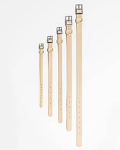 Load image into Gallery viewer, Wild One - Adjustable Waterproof Fashion Dog Collar: Cocoa / SMALL