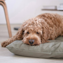 Load image into Gallery viewer, Lambwolf Collective - MAATIN // Dog Bed - Small | Fern