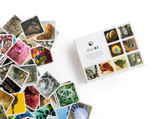 Load image into Gallery viewer, OuiSi Original: Game of Visual Connection