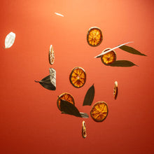 Load image into Gallery viewer, REFILLABLE Orange Corriander Nourishing Pocket Sanitizer