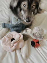 Load image into Gallery viewer, Lambwolf Collective - Poppy // Enrichment Dog Toy - Large