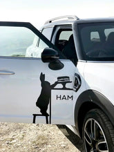 Load image into Gallery viewer, HAM Luxury Greeting Card - Yoga Rabbit