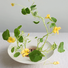 Load image into Gallery viewer, The Floral Society Copper Flower Frog Set