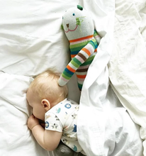 Load image into Gallery viewer, Blabla Sandwich the Cat - Regular and Mini