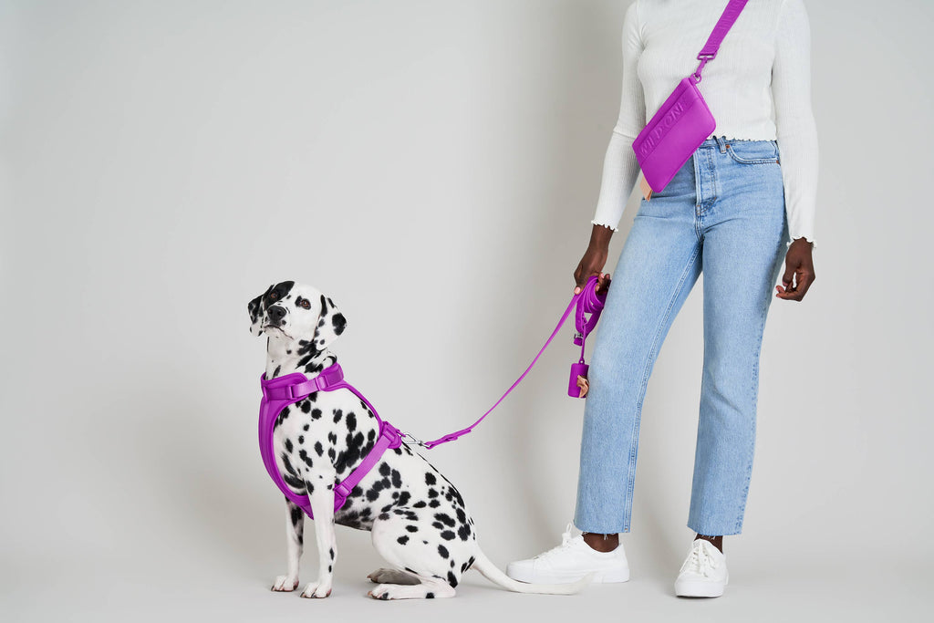 Wild One - Adjustable Waterproof Dog Leash: SMALL / Black