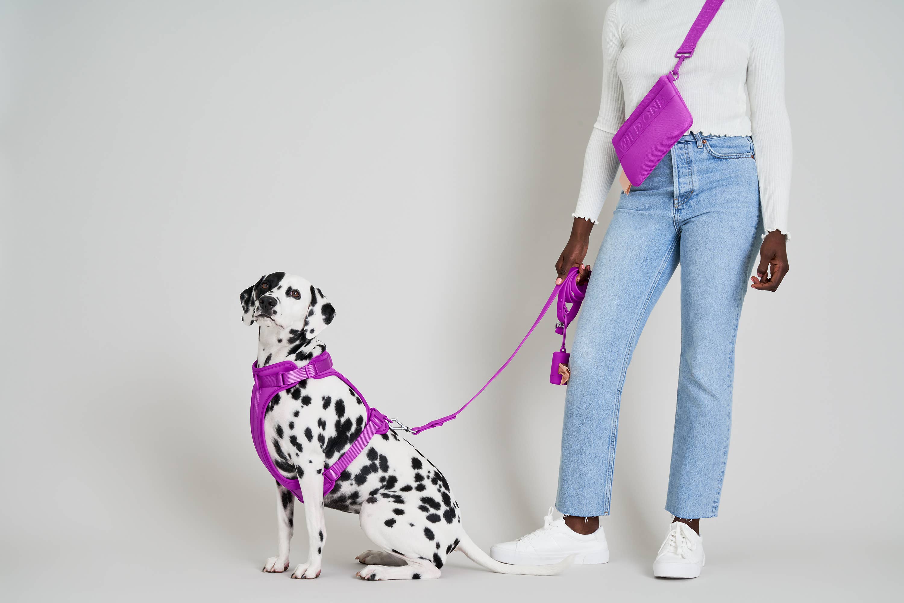 Wild One - Adjustable Waterproof Dog Leash: SMALL / Black