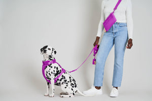 Wild One - Adjustable Waterproof Dog Leash: SMALL / Lilac