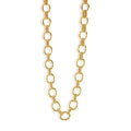 Capucine De Wulf Cleopatra 32" Regal Link Necklace - Gold