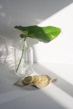 Makabi & Sons - Matcha Toasted Black Sesame Cookies - Uji
