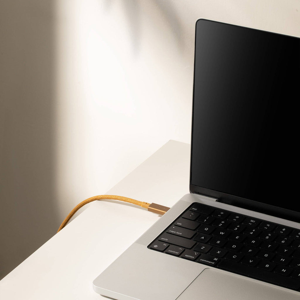 Native Union Paris - Belt Cable Pro 240W (USB-C to USB-C): Cosmos