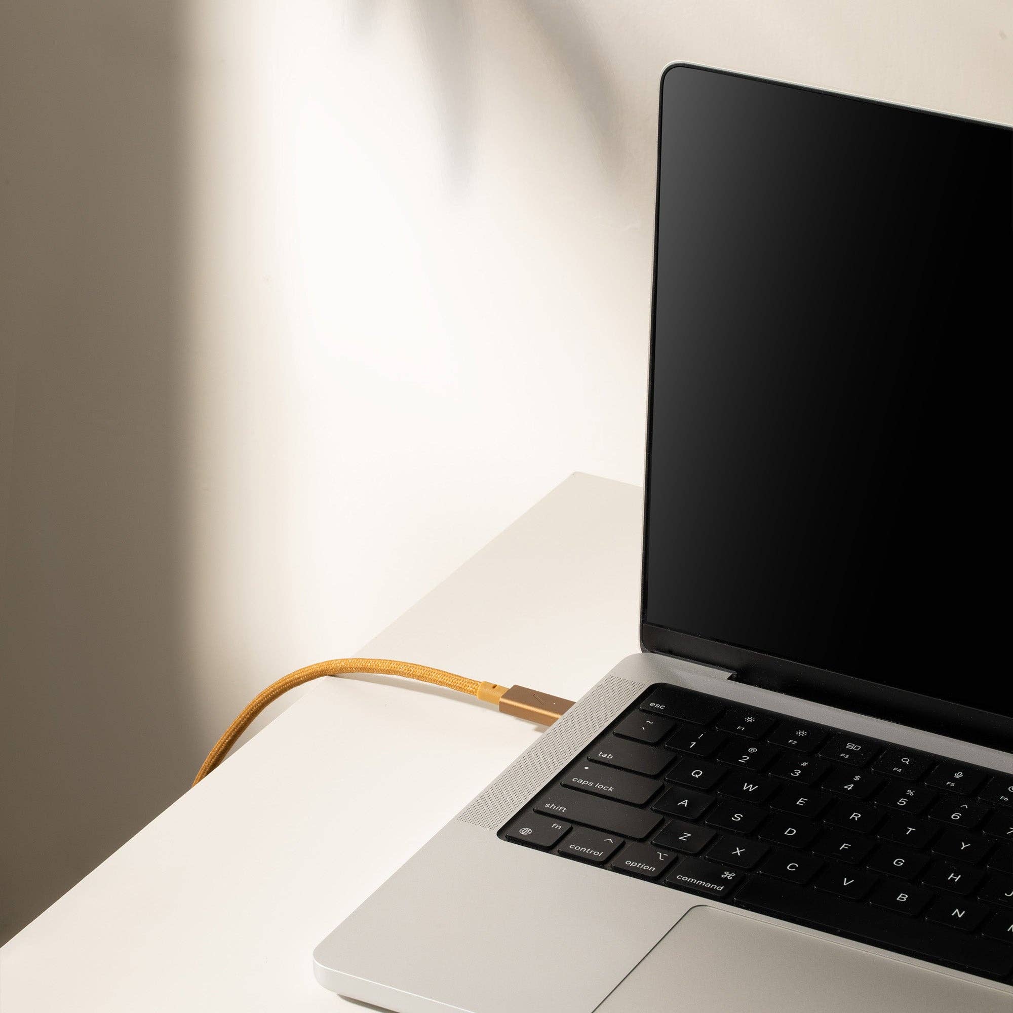 Native Union Paris - Belt Cable Pro 240W (USB-C to USB-C): Slate Green