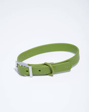 Load image into Gallery viewer, Wild One - Adjustable Waterproof Fashion Dog Collar: Moss / X-LARGE
