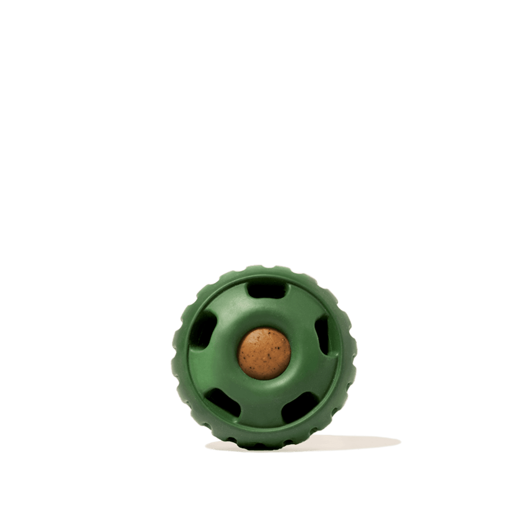 Woof - The Pupsicle - Moss Green: X-Large