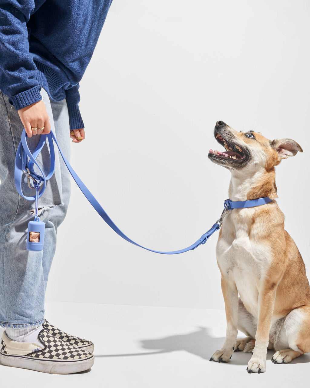 Wild One - Adjustable Waterproof Dog Leash: SMALL / Black