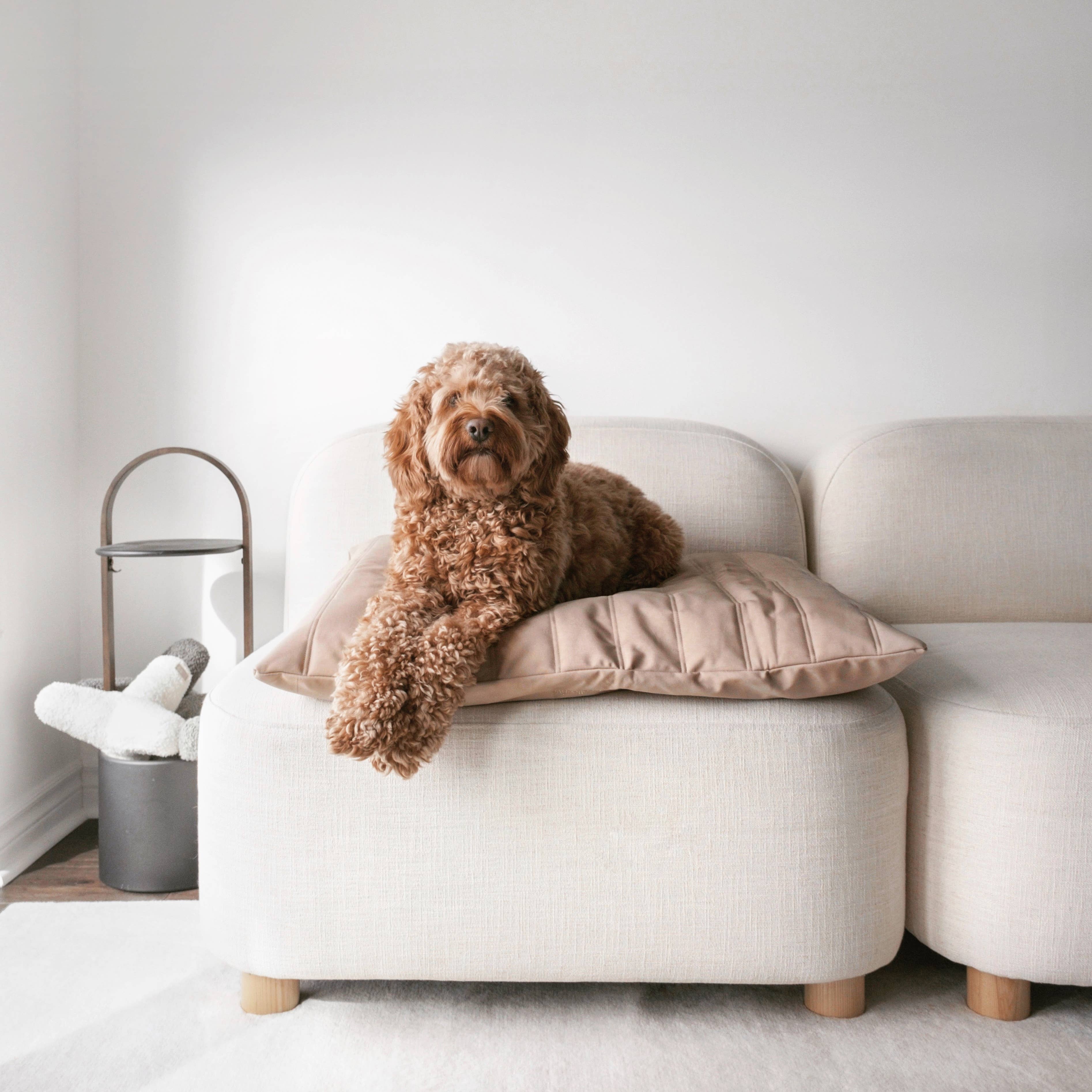 Lambwolf Collective - MAATIN  // Dog Bed - Medium | Camel