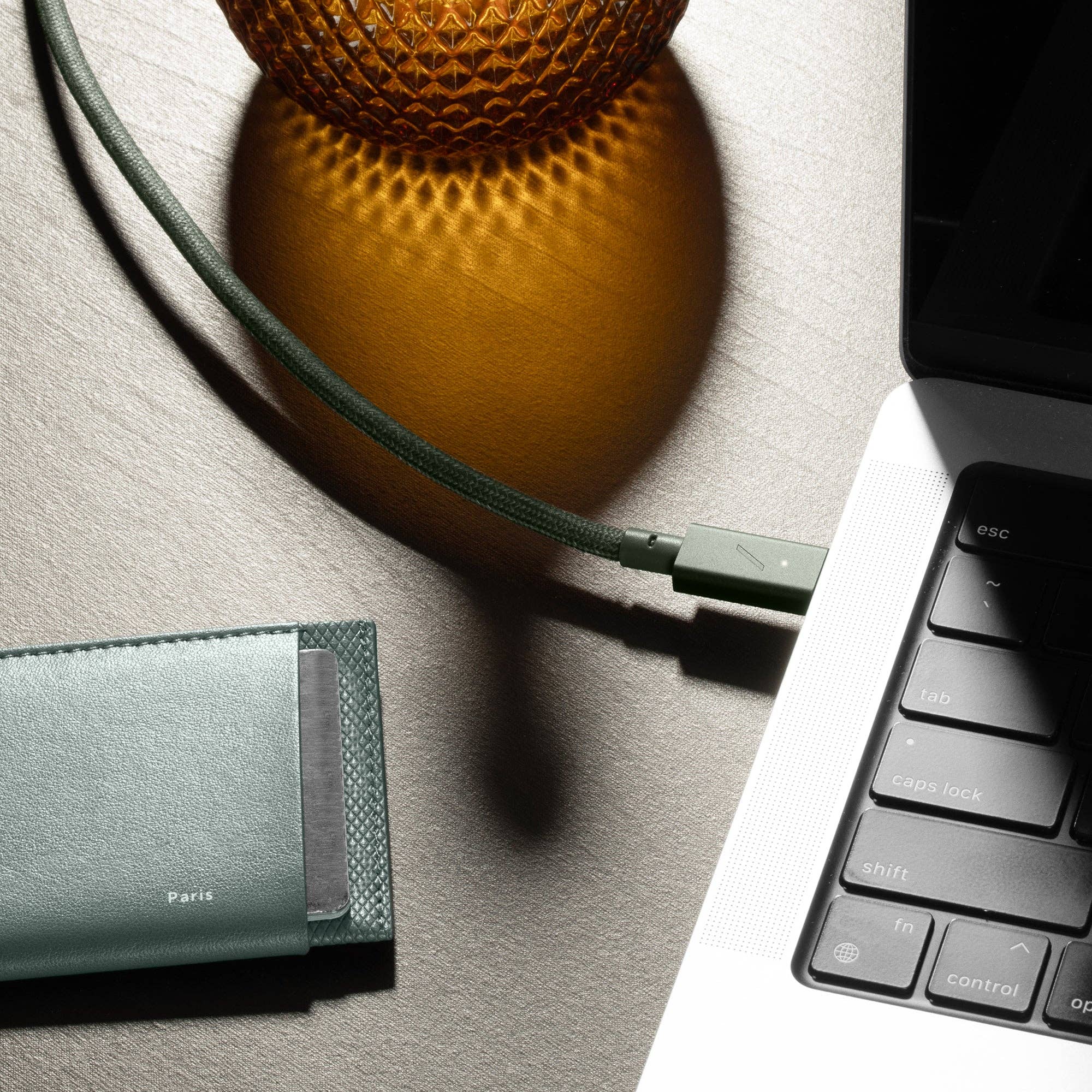 Native Union Paris - Belt Cable Pro 240W (USB-C to USB-C): Cosmos