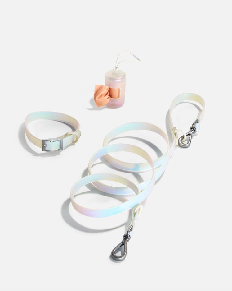Wild One - Poop Bag Carrier Dispenser for Dogs - Holographic Lunar NEW!
